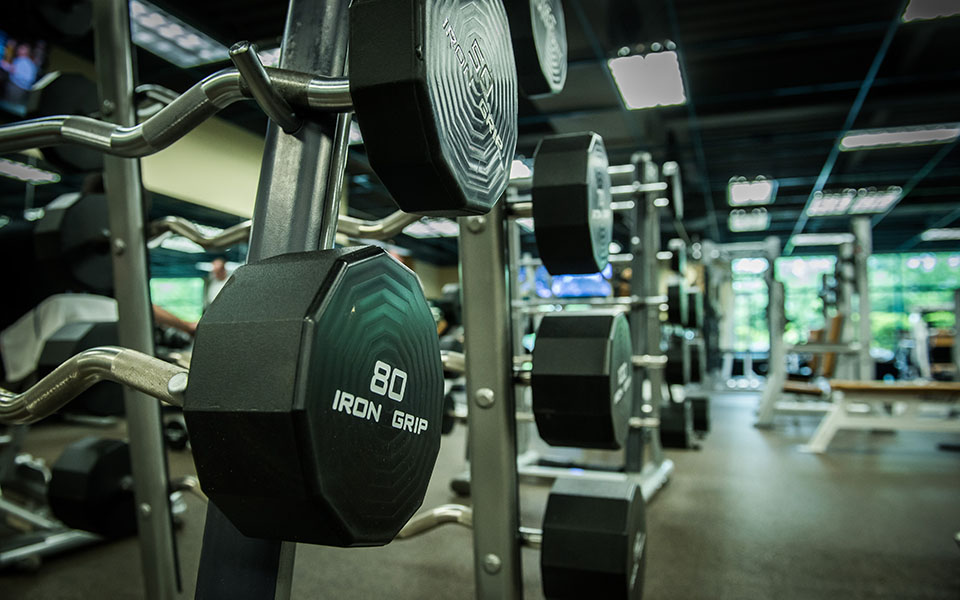 80 Iron Grip Weights in Gym