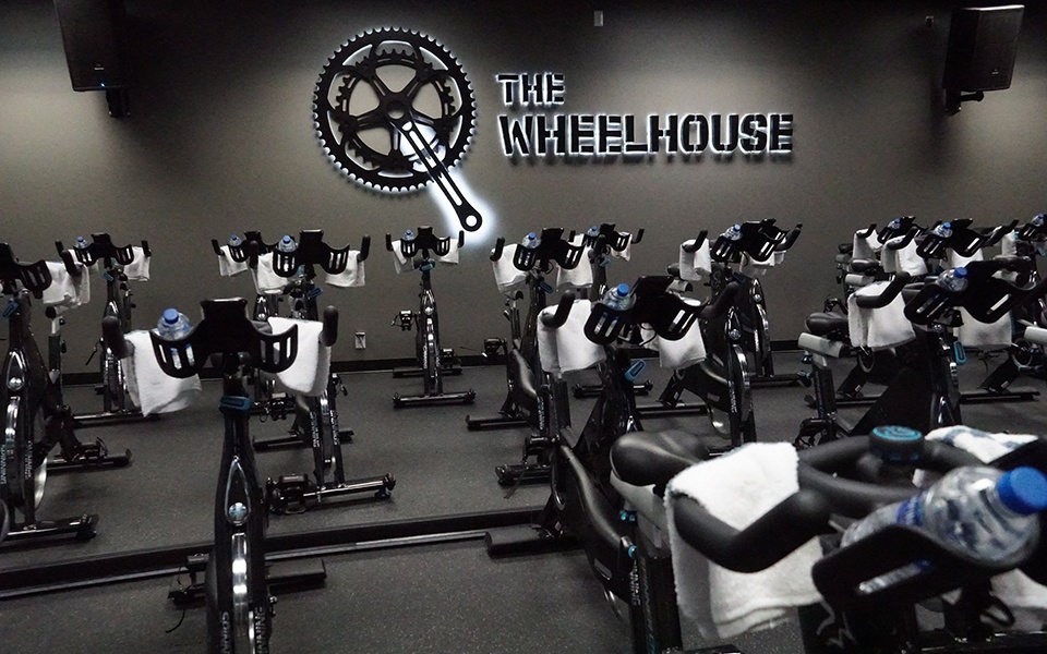 Cycles Lined Up in Cycling Studio